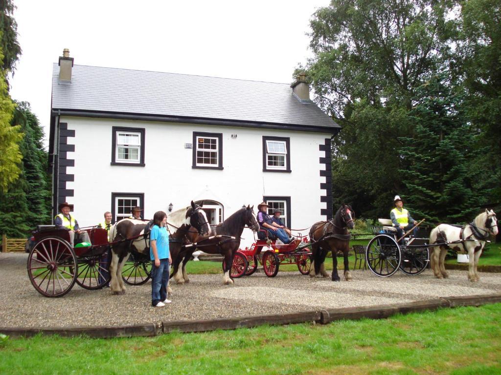 Ashton House Hotel Avoca Exterior foto